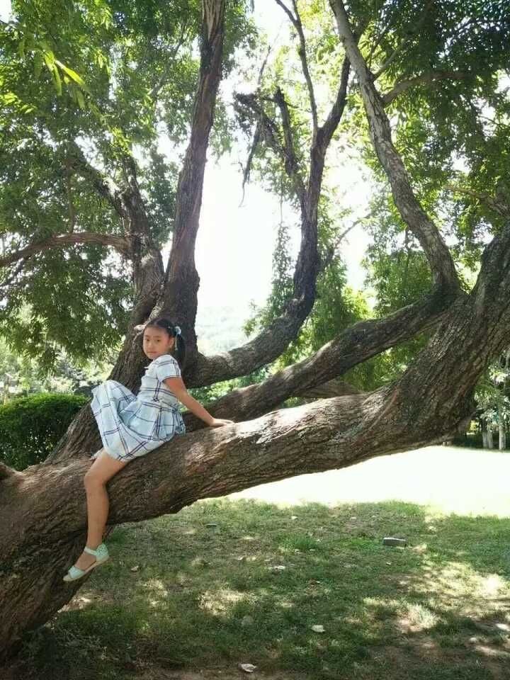 QQͼƬ20170510205313.jpg